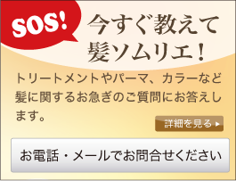 SOS! 今すぐ教えて髪ソムリエ!トリートメントやパーマ、カラーなど髪に関するお急ぎのご質問にお答えします。