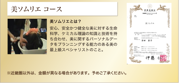 美ソムリエ コース 美ソムリエとは?
安心、安全かつ健全な美に対する生命科学、ケミカル理論の知識と技術を持ち合わせ、美に関するパーソナルデータをプランニングする能力のある美の最上級スペシャリストのこと。